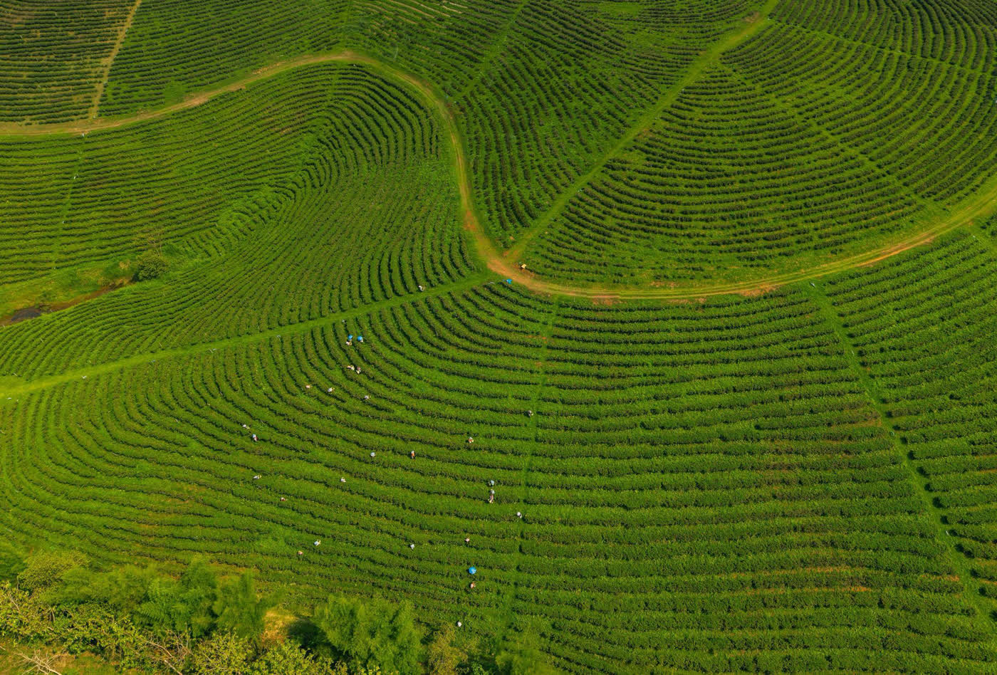 Parcelas agrícolas registradas en el proyecto